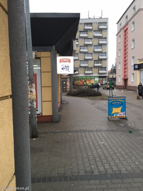 Pętla Ogrody | fot. Mateusz