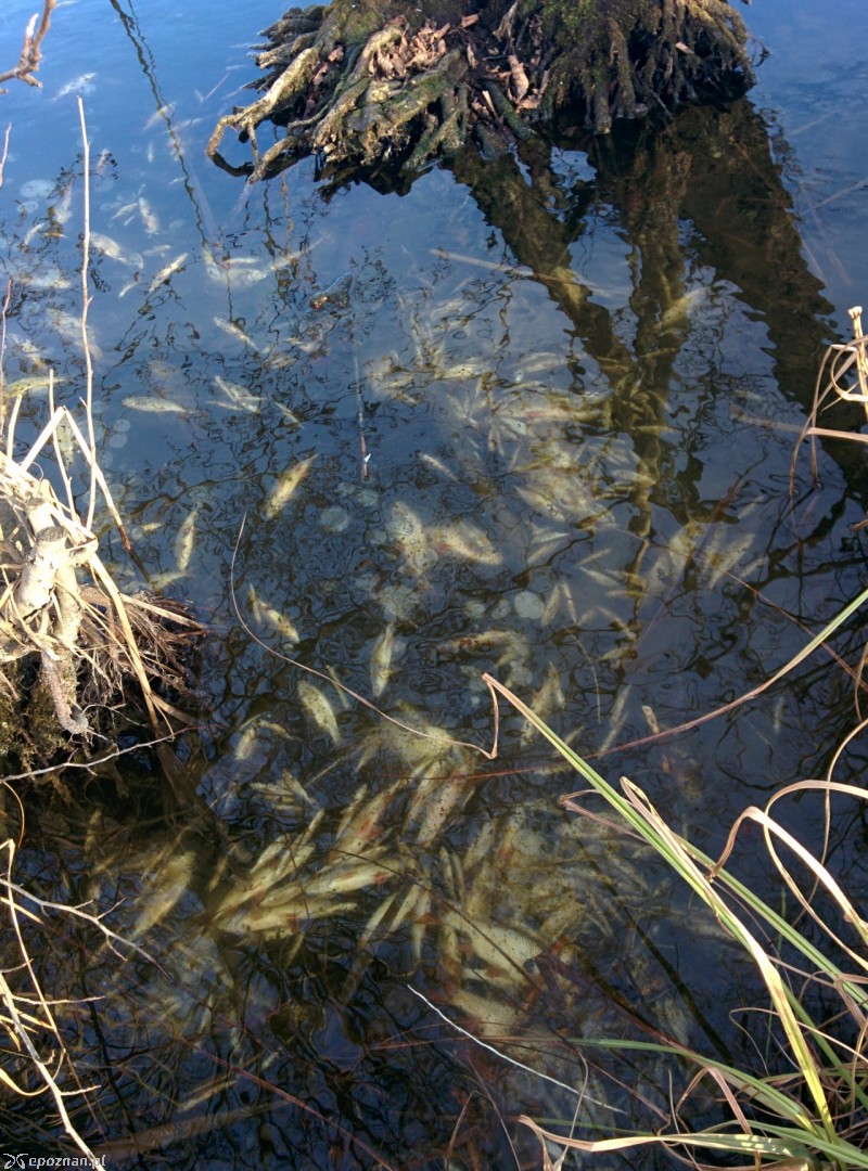 fot. Czytelnik