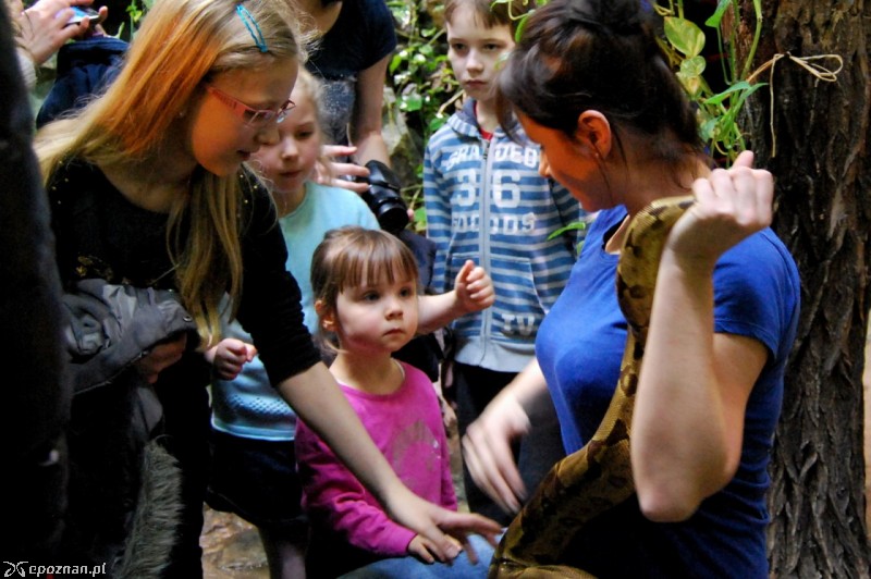 fot. ZOO Poznań