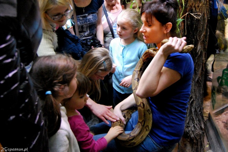 fot. ZOO Poznań