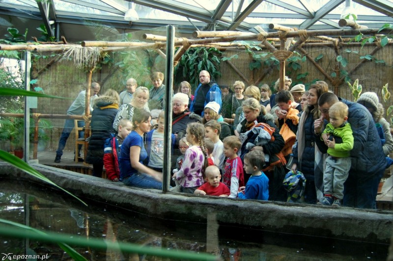 fot. ZOO Poznań
