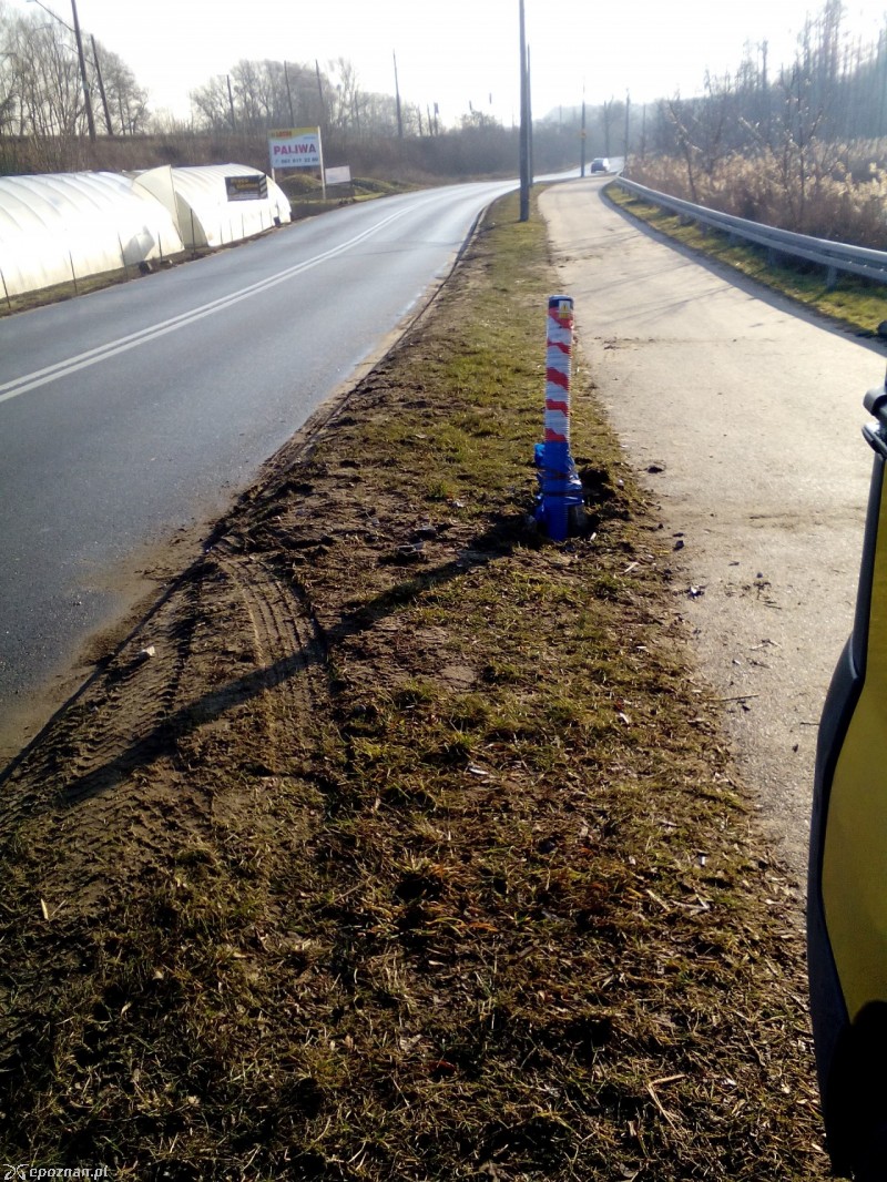 fot. Michał 