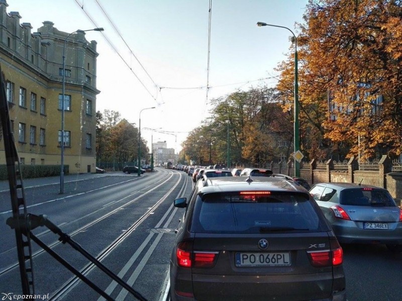 Zdjęcie z petycji przygotowanej przez stowarzyszenia