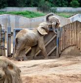 fot. ZOO Poznań