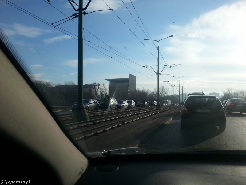 fot. Gosia