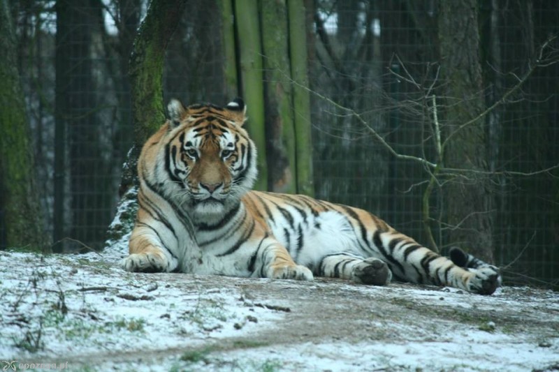 fot. ZOO Poznań