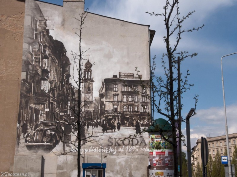 fot. Maciej Stempij
