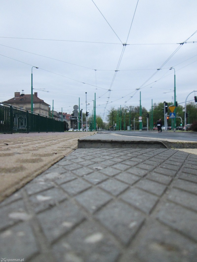 fot. czytelnik
