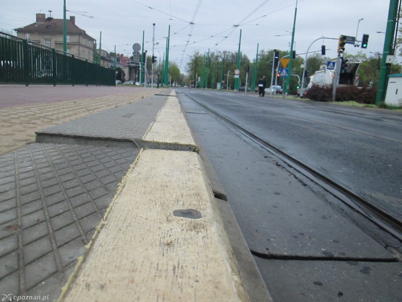 fot. czytelnik