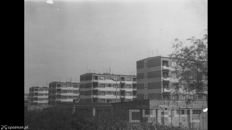 fot. CYRYL Poznań