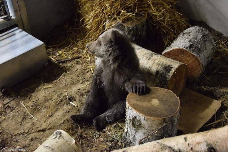 fot. ZOO/Facebook
