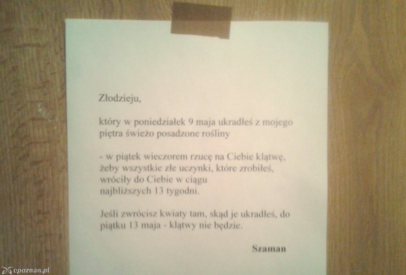 fot. Wojciech