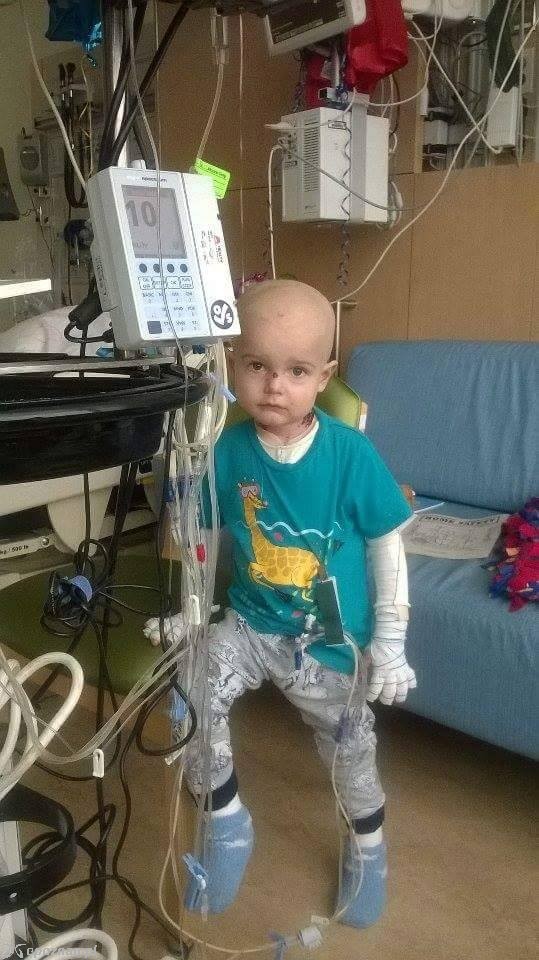 fot. Kajtek - Losy Małego Motyla / Facebook