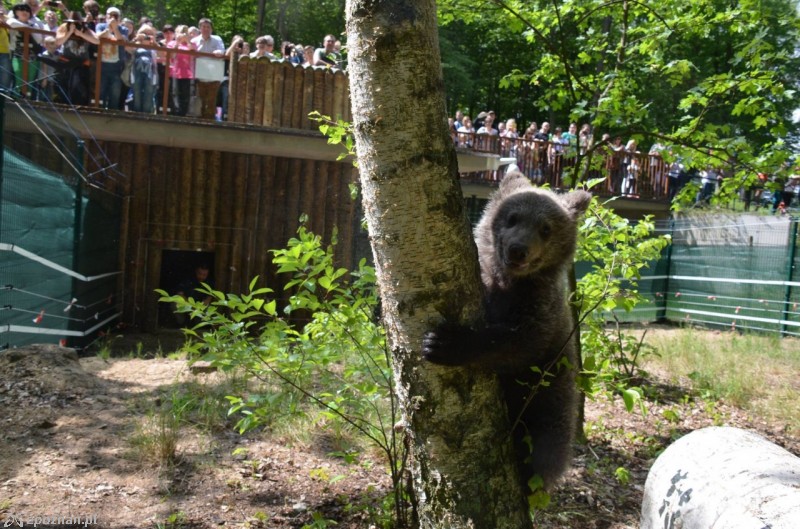 fot. ZOO/Facebook