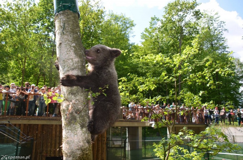 fot. ZOO/Facebook