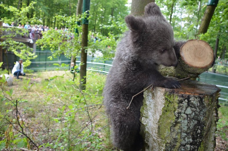 fot. ZOO/Facebook