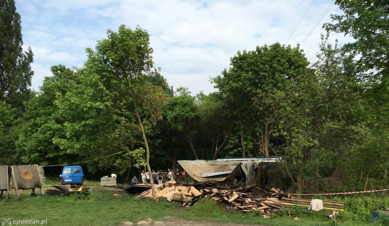 fot. KS Leśnik