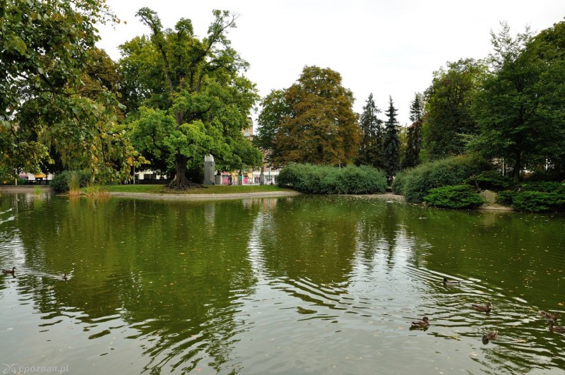 Mieszkania mają mieć widok na Park Wilsona | fot. Fidelio / Wikipedia