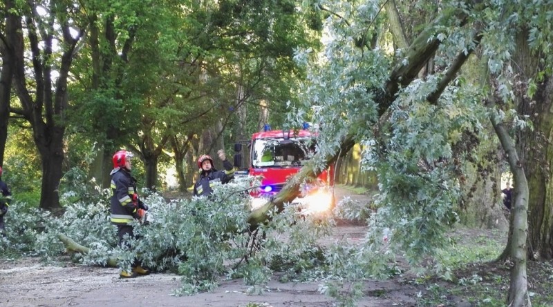 fot. Straż miejska