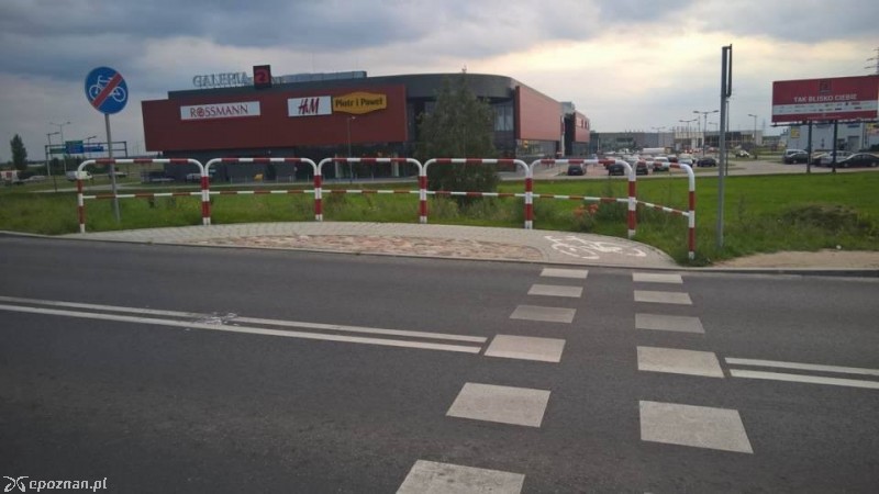 fot. Maciej Szefer