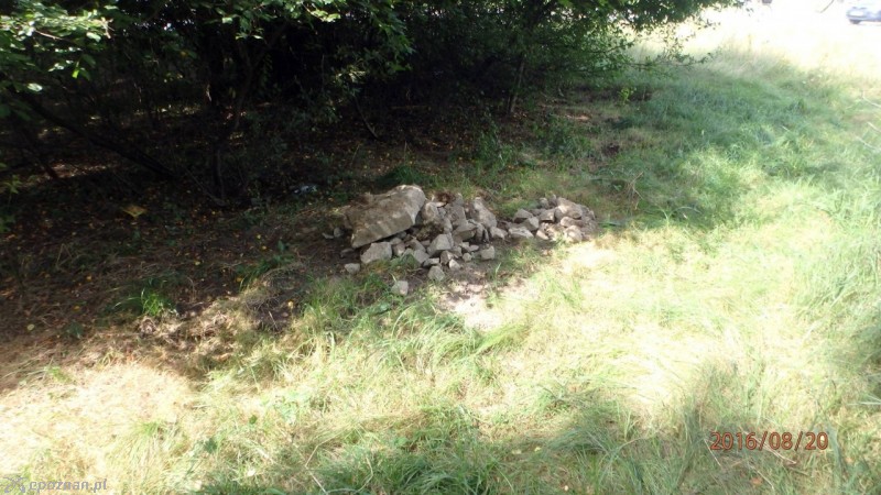 fot. Straż miejska
