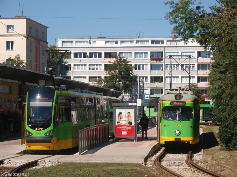 fot. Piotr Sagalara