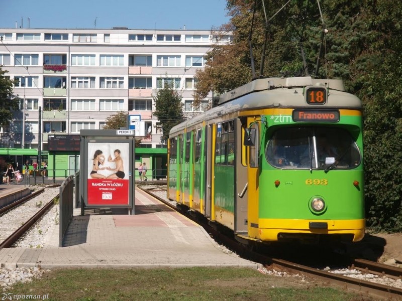fot. Piotr Sagalara