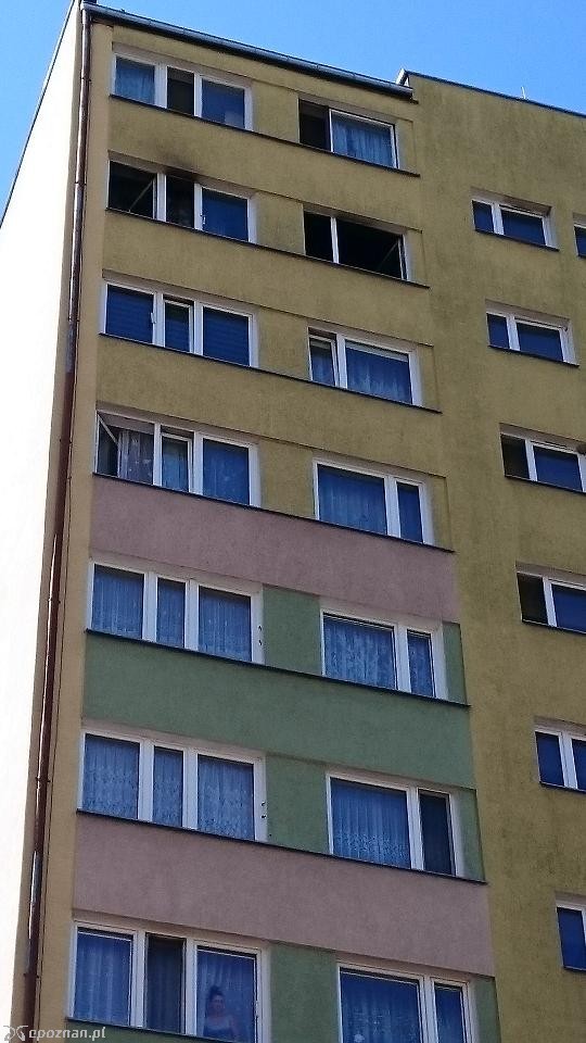 fot. KPP w Gnieźnie