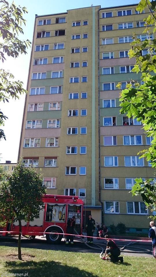 fot. KPP w Gnieźnie
