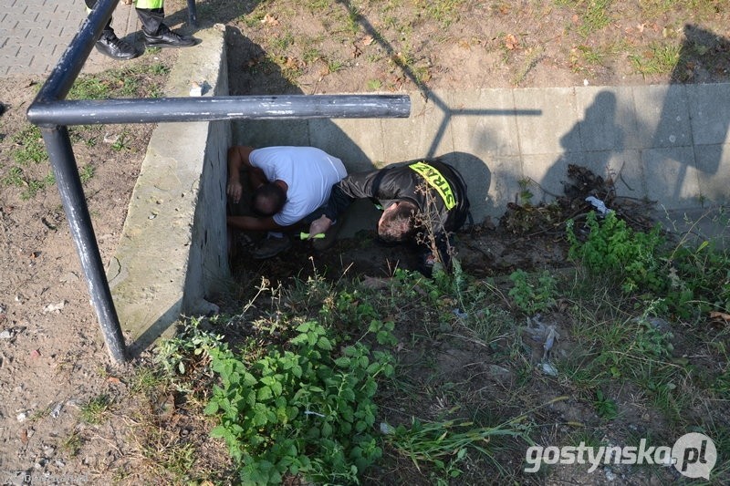 fot. Życie Gostynia / gostynska.pl