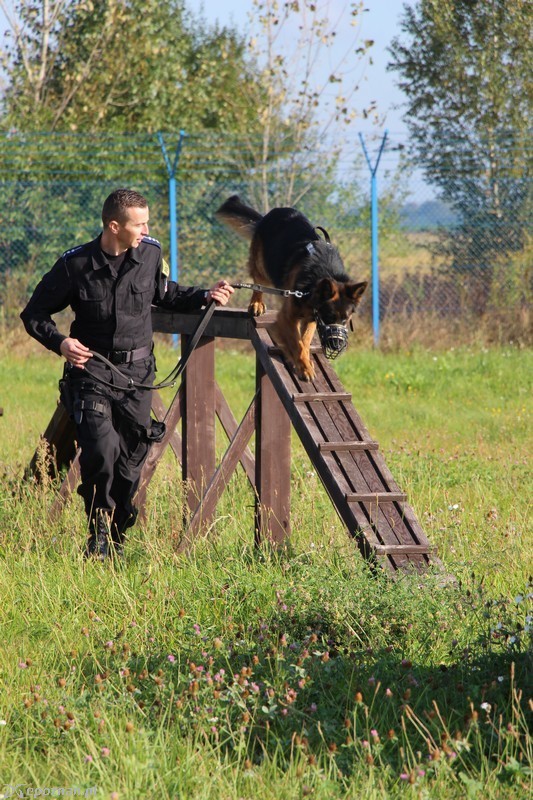 fot. policja