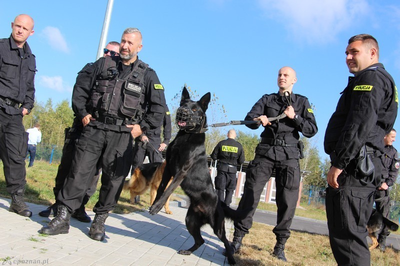 fot. policja