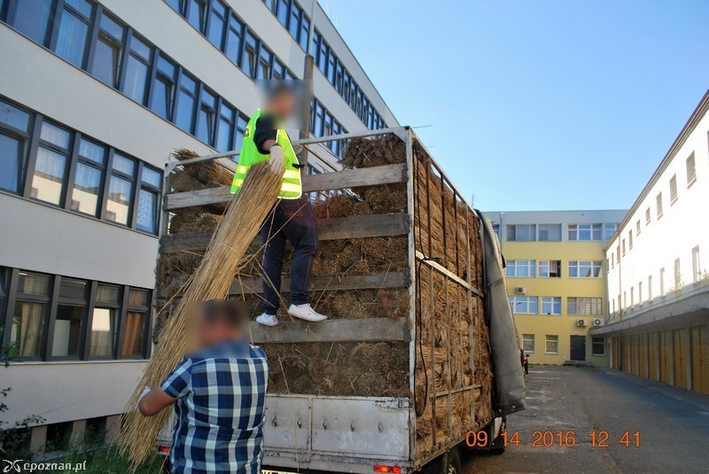 fot. policja