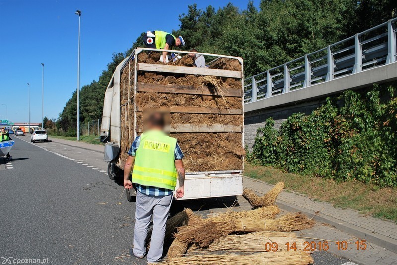 fot. policja