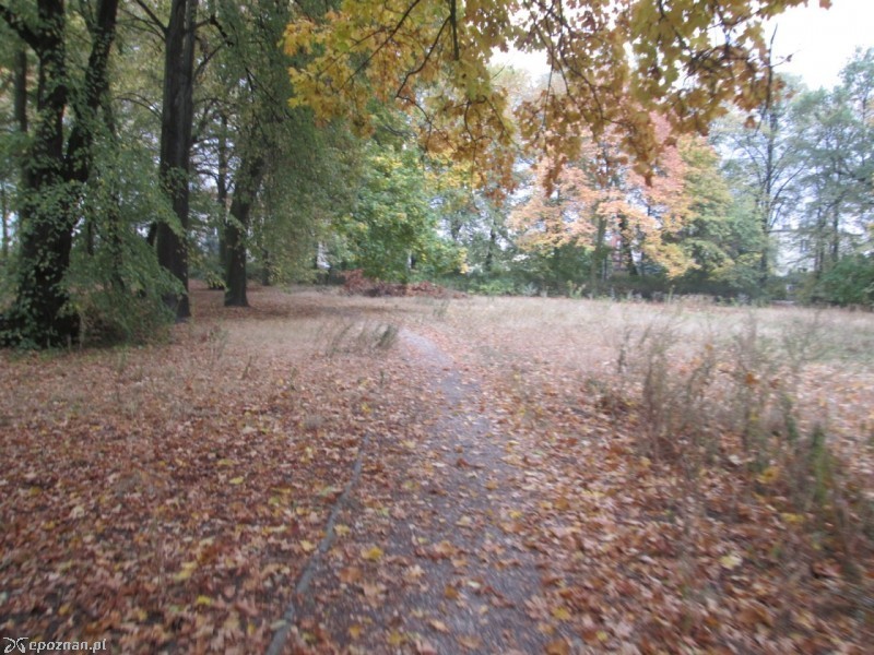 Październik 2015 | fot. czytelnik