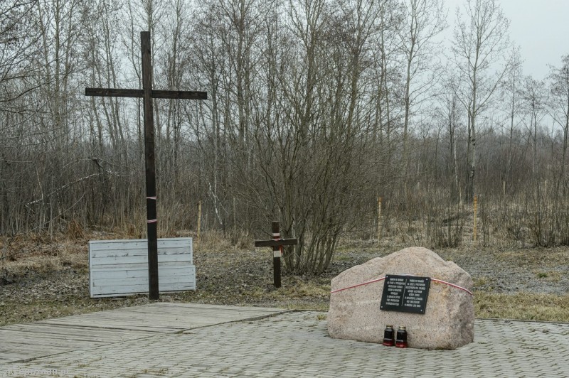 fot. PAP/Wojciech Pacewicz