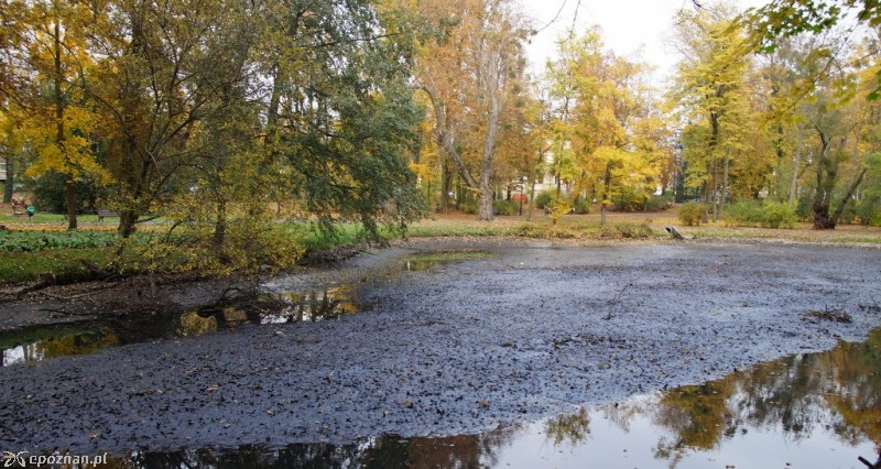 fot. Włodzimierz  Hoppel