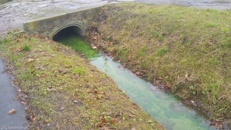 fot. czytelnik