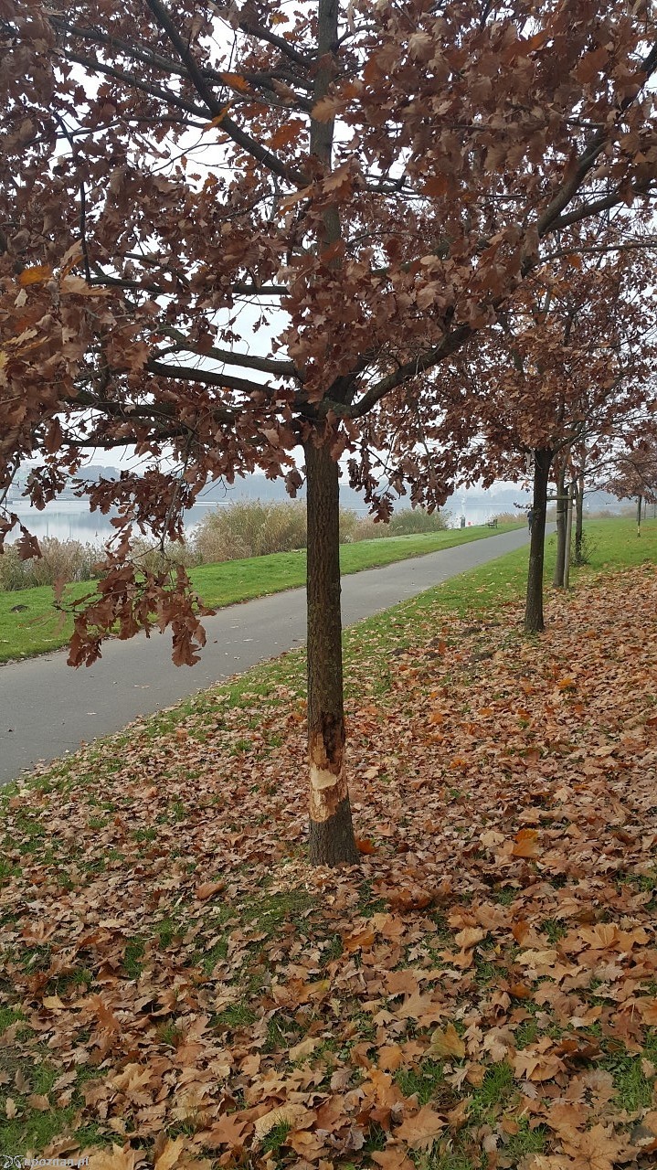fot. czytelnik