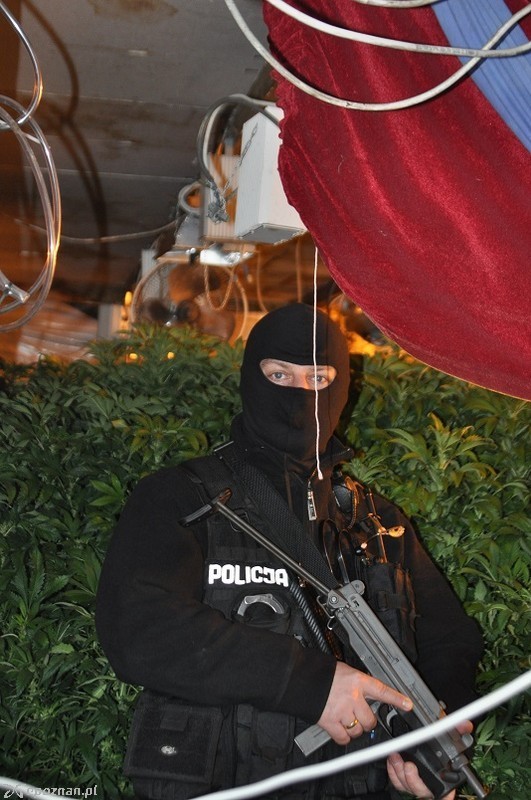 fot. Policja