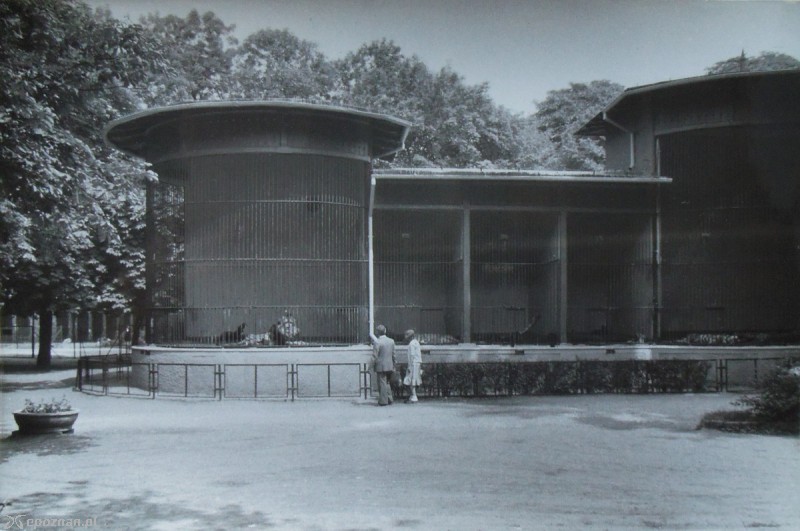 fot. archiwum ZOO