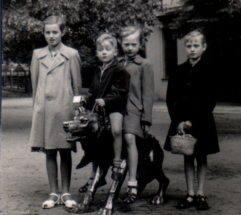 fot. archiwum ZOO