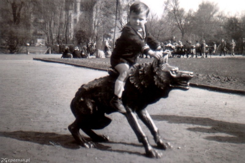 fot. archiwum ZOO