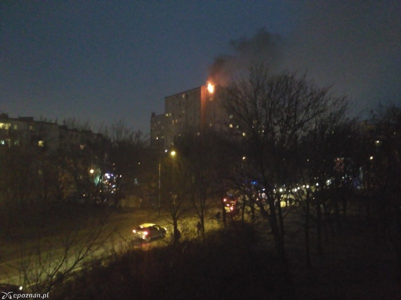 fot. czytelnik