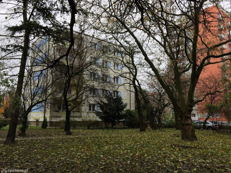 fot. Marcin Liminowicz