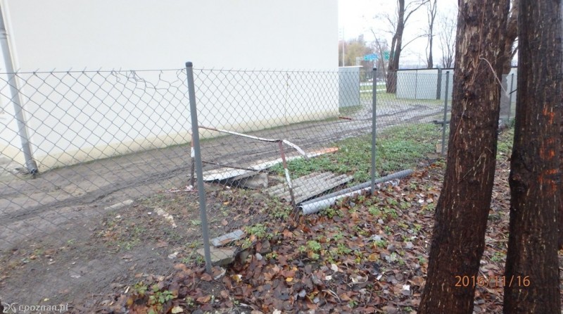 fot. Straż miejska