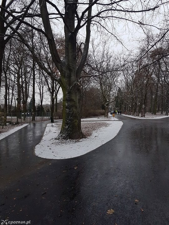 fot. Wiesław Banaś / Rada Osiedla Górczyn