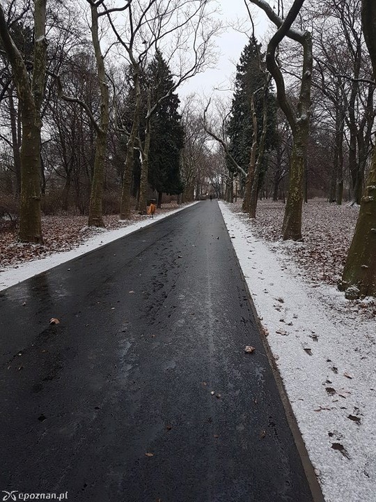 fot. Wiesław Banaś / Rada Osiedla Górczyn