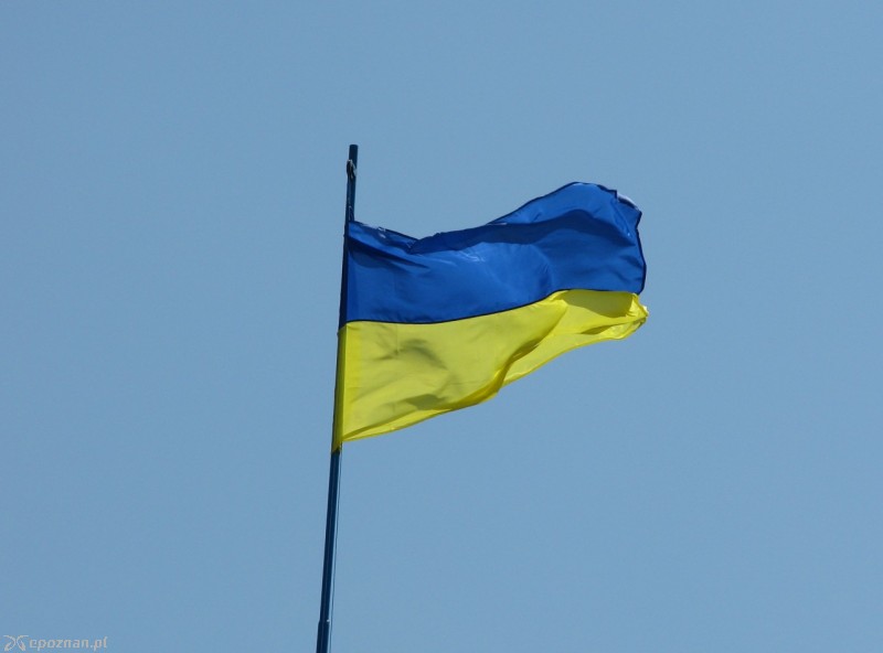 fot. Tatiana Mironova/freeimages.com