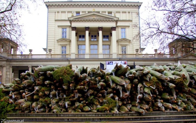 fot. Włodzimierz Hoppel